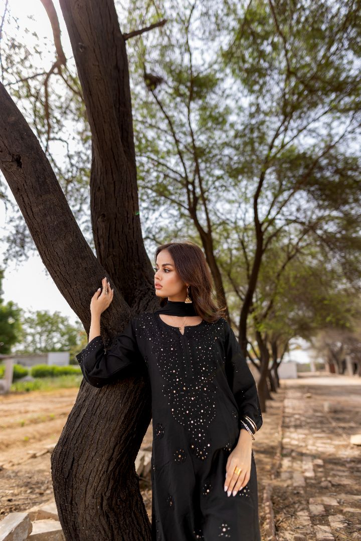 Black Mukesh Chikankari Set - MaisonDuModa 3 Piece Dress